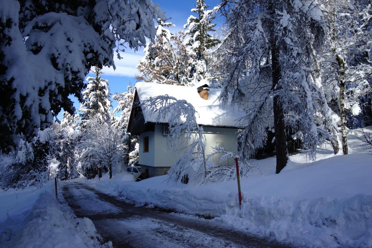 Forest House Vrhnika Exterior foto